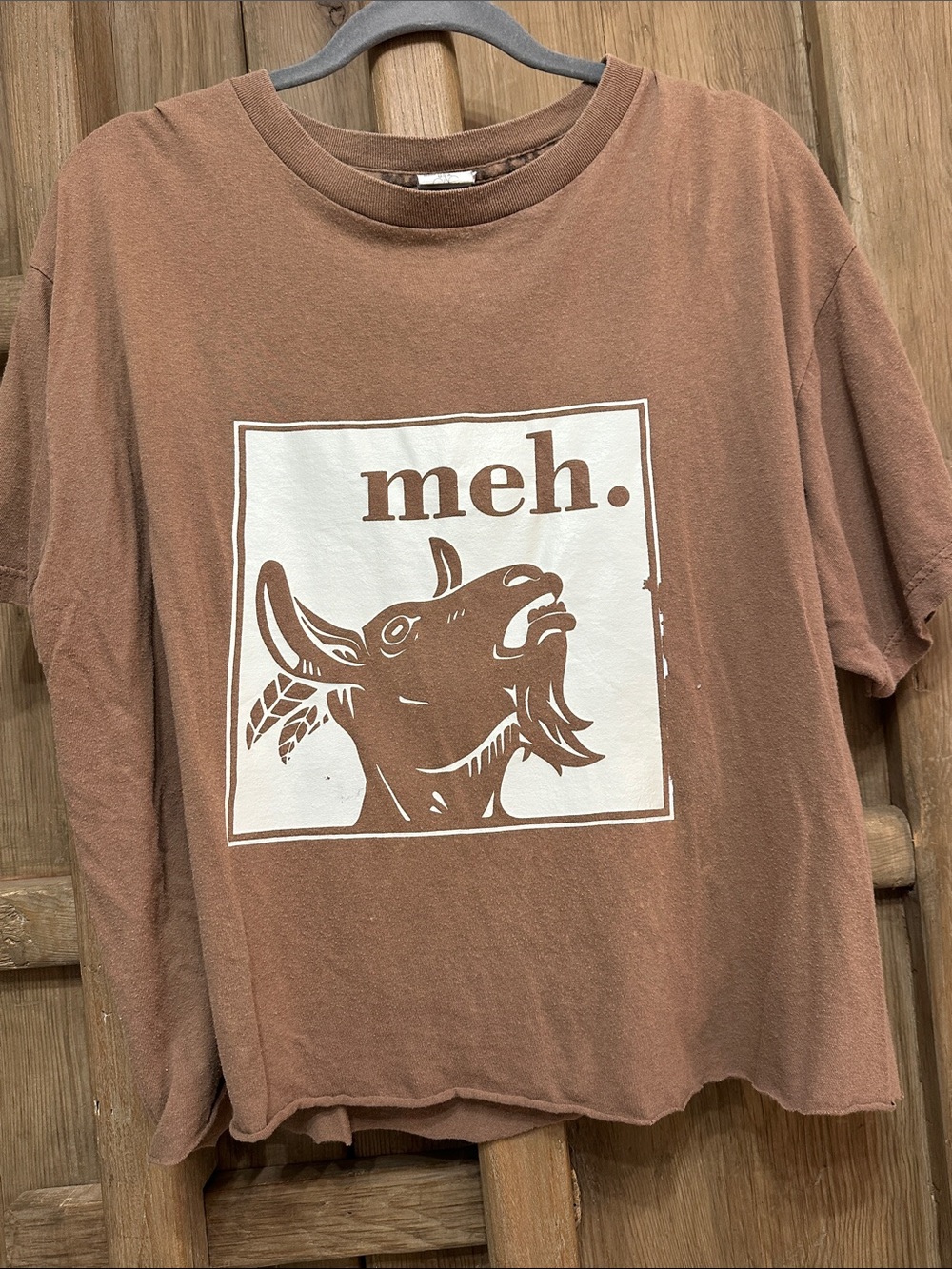 meh. Graphic Cotton Tee in Brown by